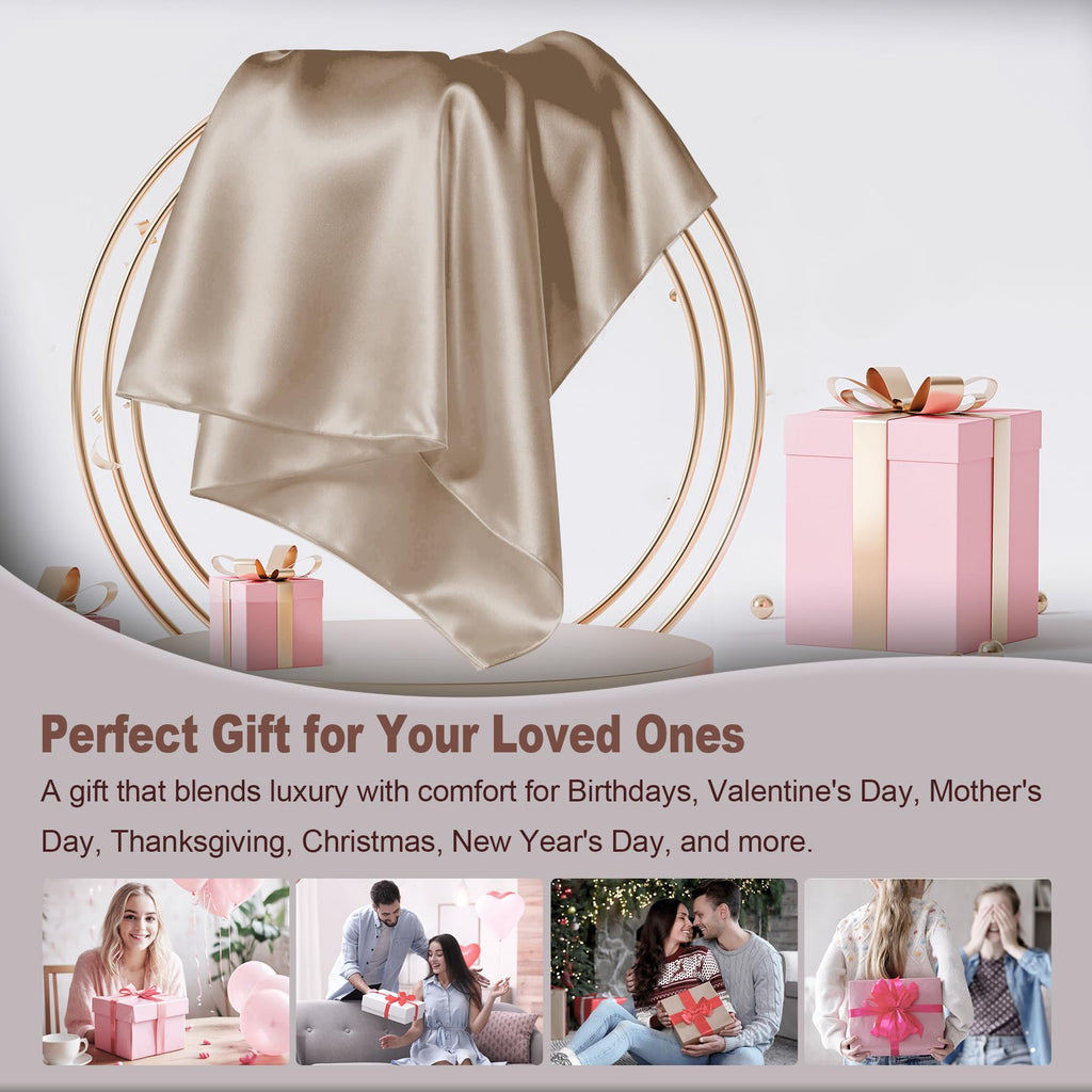 LYSHIN Silk Pillow Cases Standard Size with Hidden Zipper, Champagne